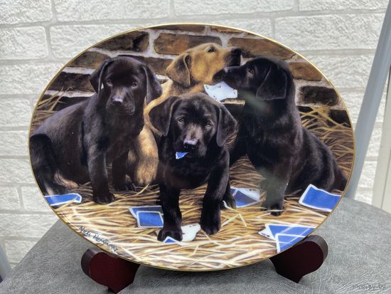 Декоративная тарелка Franklin Mint Four Aces by Nigel Hemming 22x16,5 см