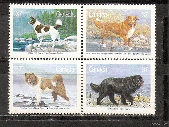 ФФ1 Канада 1988 Собаки