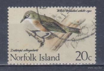 [823] Норфолк 1970. Фауна.Птицы.20с. Гашеная марка.