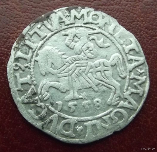 Полугрош 1558