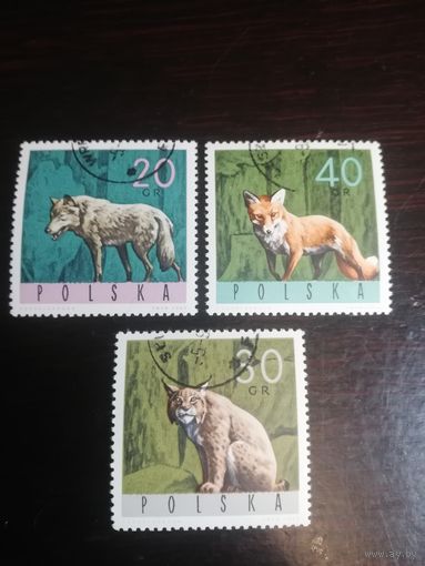 Польша 1965 фауна