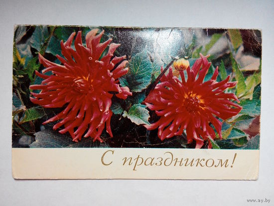 Савушкин В., С праздником! Цветы. Двойная. 1970 год #0035-FL1P18