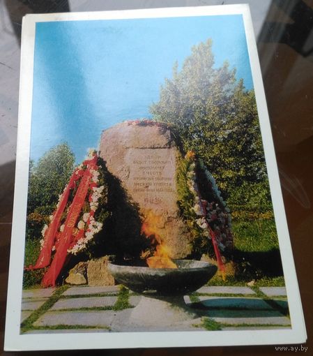 Брестская крепость Огонь вечной славы