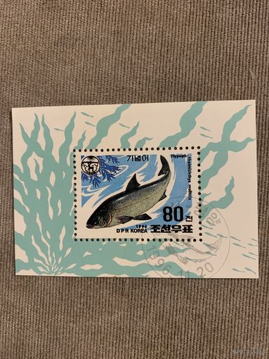 КНДР 1996. Лосось