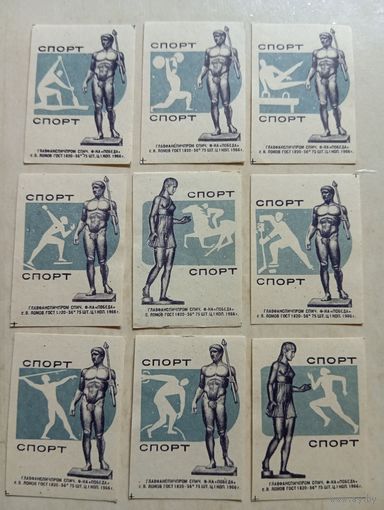 Спичечные этикетки ф.Победа. Спорт. 1966 год