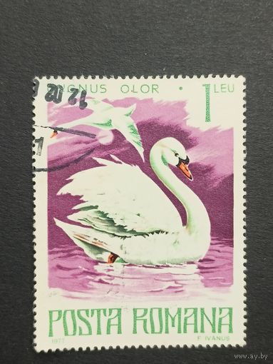 Румыния 1977. Охраняемые животные