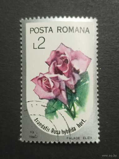 Румыния 1986. Цветы