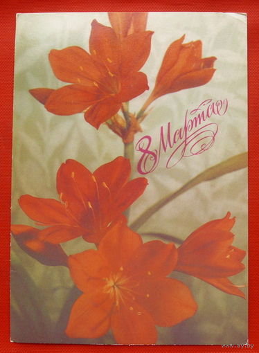 8 Марта! Чистая. 1988 года. Геодакова. # 109.