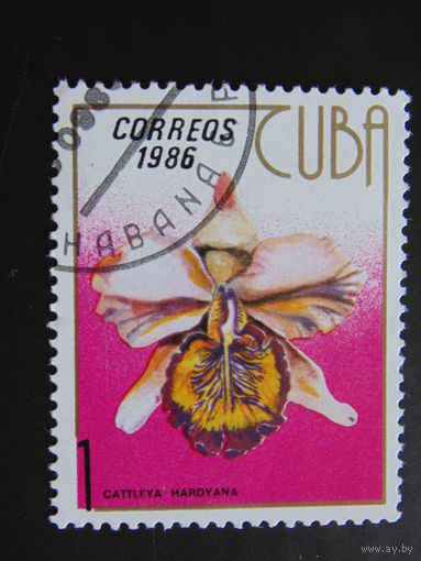 Куба 1986 г. Цветы.
