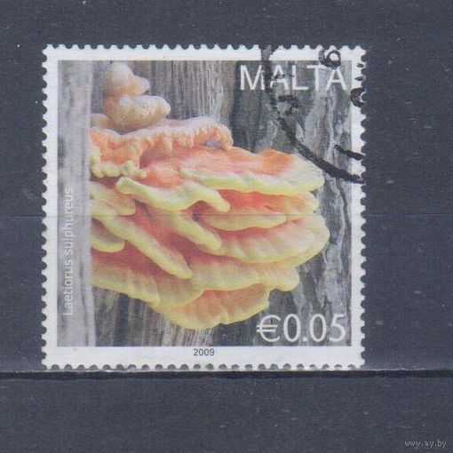 [715] Мальта 2009. Грибы. Гашеная марка.