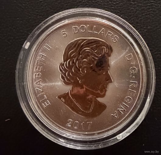 5 долларов 2017 г. Елизавета 2. Серия Хищники.  РЫСЬ.   Канада.   УНЦИЯ.  СЕРЕБРО. 999.9 пробы