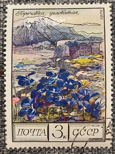 СССР 1976. Флора СССР. Горечавка угловатая. Марка из серии
