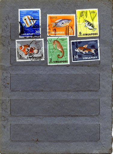 СИНГАПУР,  РЫБЫ, 6м гашен