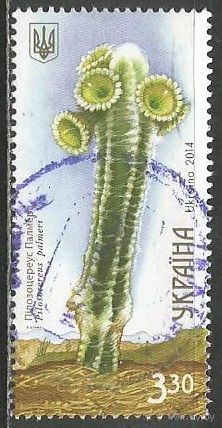 Украина. Кактусы. 2014г. Mi#1425.