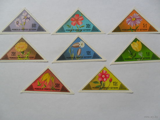 Монголия, цветы