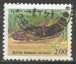 Шри Ланка. Рыбы. Пятнистый гурами. 1990г. Mi#933.