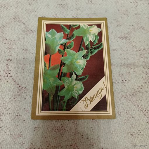 Открытка 1989 Костенко, Маев поздравляю! на белорусском языке нарциссы и верба подписана