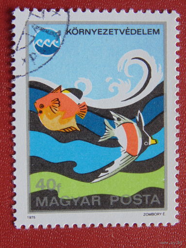 Венгрия 1975г. Фауна.