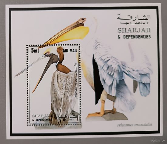 Пеликан. Фуджейра. Блок