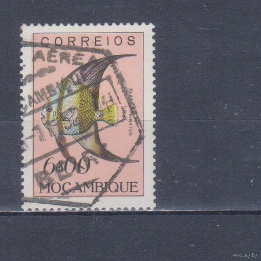 [1707] Португальский Мозамбик 1951. Фауна.Рыба.6 э. Гашеная марка.