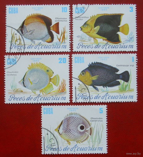 Куба. Рыбы. ( 5 марок ) 1985 года. 9-19.