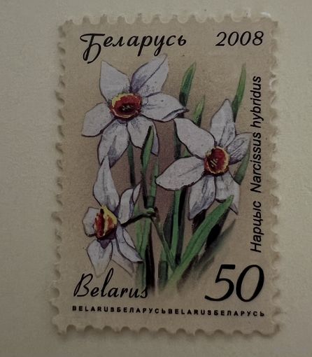 Нарцисс (простая бумага). Стандартный выпуск ( не полная серия)