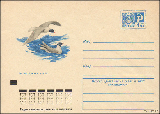 Художественный маркированный конверт СССР N 7869 (15.10.1971) Черноголовая чайка