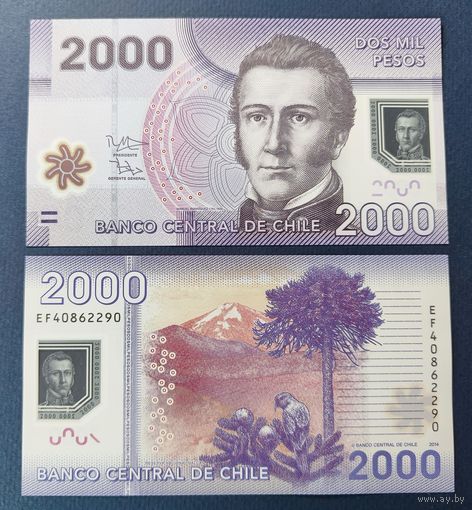 Чили, 2000 песо 2014 г., P-162 (полимер, национальный герой Мануэль Хавьер Родригес Эрдоиса), UNC