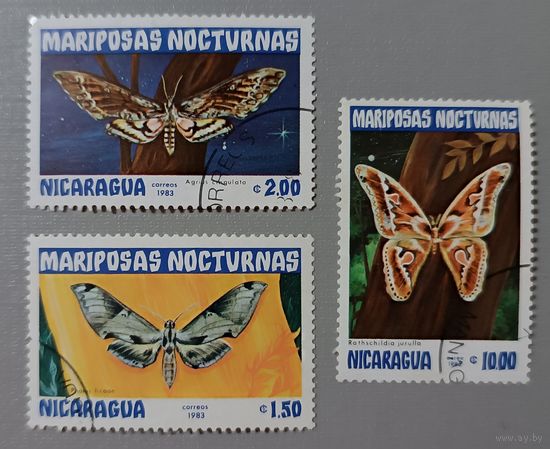 Никарагуа 1983, бабочки