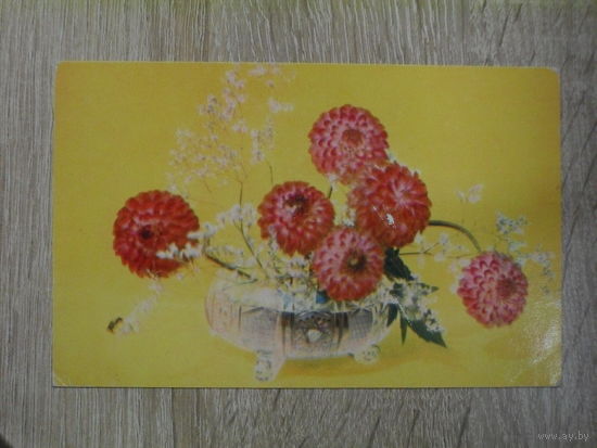 ПОДПИСАННАЯ ОТКРЫТКА СССР. "ЦВЕТЫ В ХРУСТАЛЬНОЙ ВАЗЕ" ФОТО. В. СУХАНОВА. 1973 ГОД.