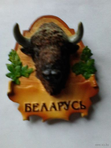 Магнит - "Голова Зубра - Беларусь".