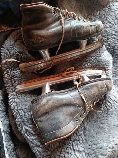 Коньки старые