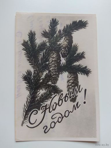 Каменский. 1958