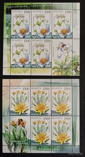 Марки Беларуси 2009 года чистые листы Охраняемые растения Беларуси, флора, КМ 795/96, каталог6,8 евро