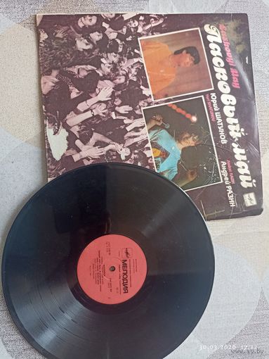 Виниловые пластинкиВиниловые пластинки