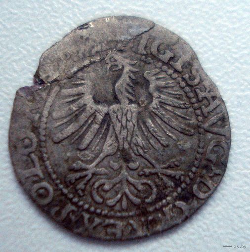 Полугрош 1564 года.