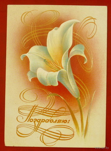 Поздравляю! Чистая. 1984 года. Воронин. 711.