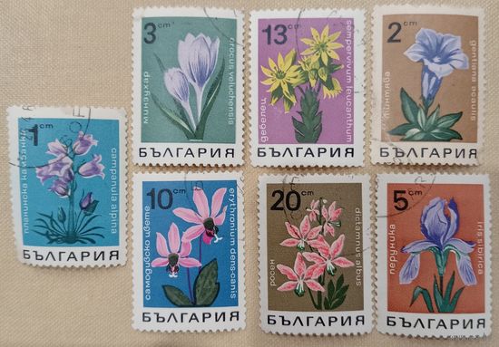 Болгария 1968. Флора. Цветы. Полная серия