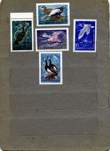 СССР, 1972, ПЕРНАТЫЕ **- ОБИТАТЕЛИ МОРЕЙ И ОКЕАНОВ ** серия 5м, чистая