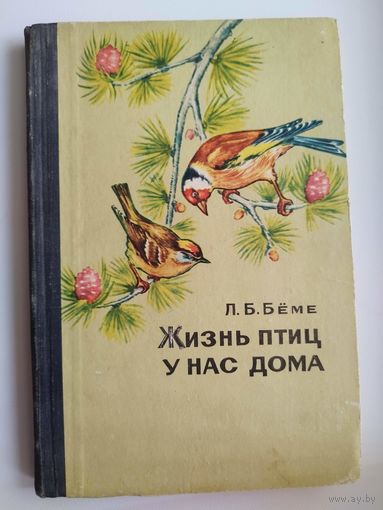 Л.Б. Беме  Жизнь птиц у нас дома