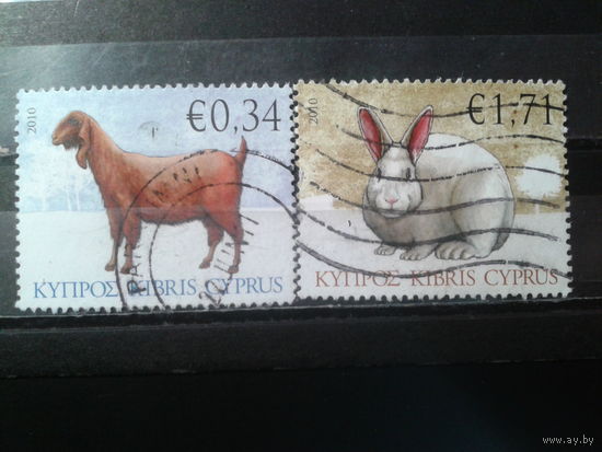 Кипр, 2010. Домашние животные. Mi-4,1 евро гаш.