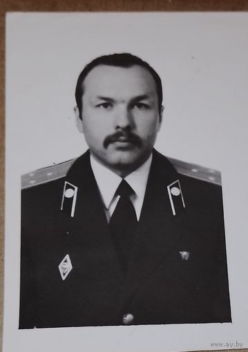 Фото в коллекцию