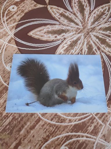 Календарик,реклама,2007