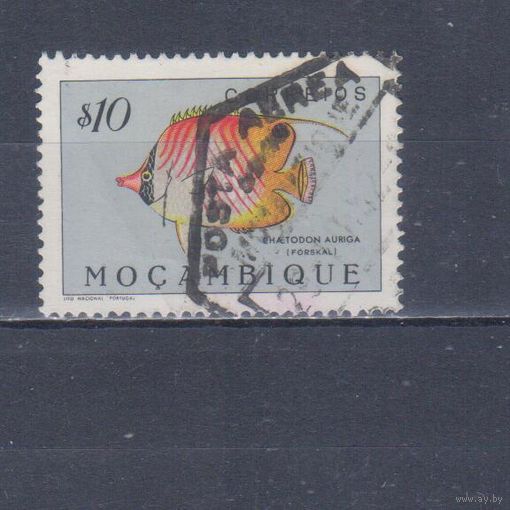 [886] Португальский Мозамбик 1951. Фауна.Рыба.0,10 э. Гашеная марка.