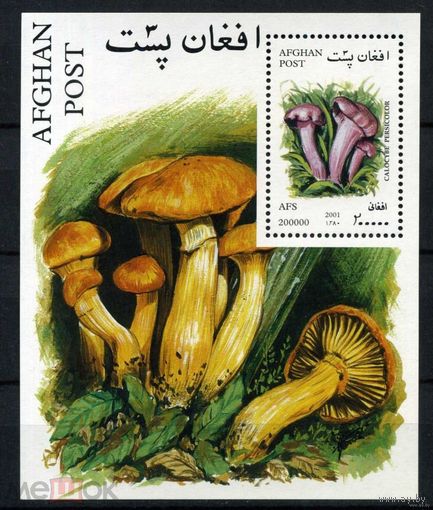 Афганистан 2001 г. Флора ГРИБЫ - блок  MNH