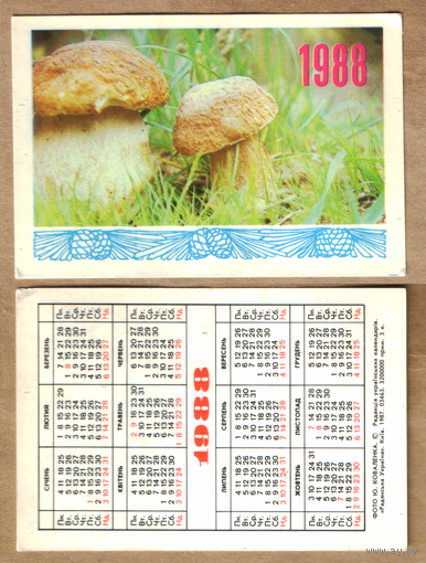 Календарь Грибы 1988
