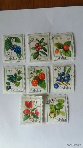 Польша  1972 8м ягоды