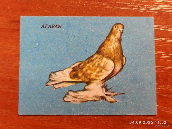 Спичечная этикетка Агаран голубь