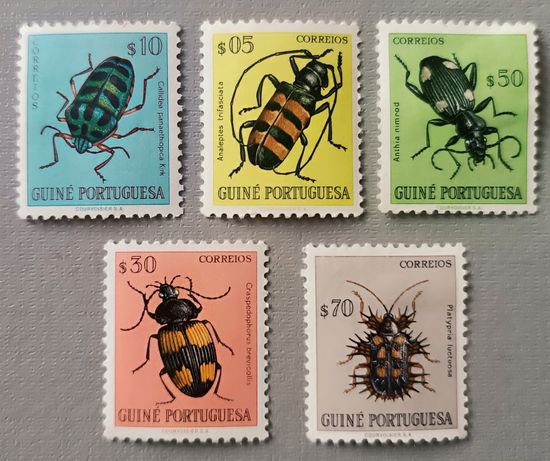 Жуки. Португальская Гвинея, 1953