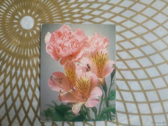 Мини-открытка СССР 1989 год.   Чистая. Э.Стейнерт.  Состояние на скане.